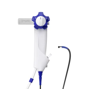 Flexible Endoscopy